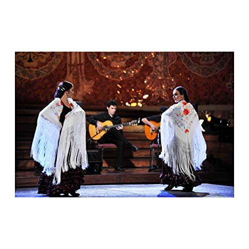 Cisne 2013, S.L. Mantón Bordado en Pico de Manila. Mantones Flamenco Sevillana. Medidas 150x70cm. Diseño Flores. Color Rojo.