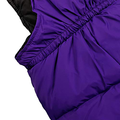 Conjunto de Esquí 2 Piezas Traje de Nieve - Chaqueta con Capucha + Pantalón de Esquí Niños Niñas Traje de Esquí Abrigos de Pluma Pantalones de Nieve de Babero Impermeable, Púrpura 3-4 Años