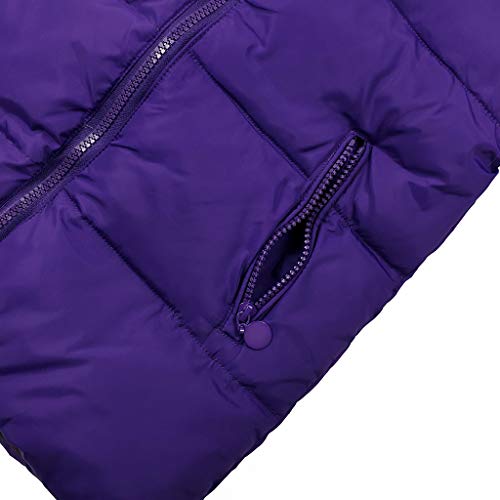 Conjunto de Esquí 2 Piezas Traje de Nieve - Chaqueta con Capucha + Pantalón de Esquí Niños Niñas Traje de Esquí Abrigos de Pluma Pantalones de Nieve de Babero Impermeable, Púrpura 3-4 Años