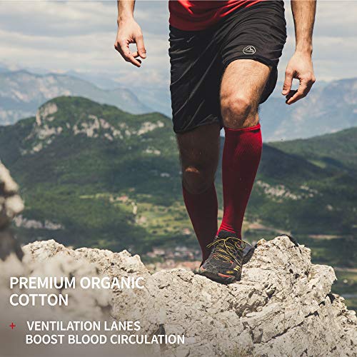 DANISH ENDURANCE Calcetines de Compresión de Algodón Orgánico Pack de 1 (Negro, EU 43-47)