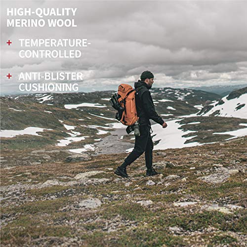 DANISH ENDURANCE Calcetines de Senderismo y Trekking de Lana Merina para Hombre, Mujer y Niños, Otoño e Invierno, Calcetines Térmicos de montaña, Pack de 3 (Gris Claro, EU 35-38)