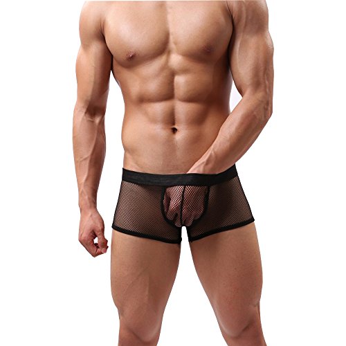 DDSCOLOUR - Calzoncillos tipo bóxer para hombre, malla transparente, ropa interior masculina negro L
