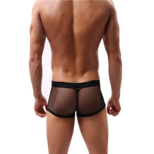 DDSCOLOUR - Calzoncillos tipo bóxer para hombre, malla transparente, ropa interior masculina negro L