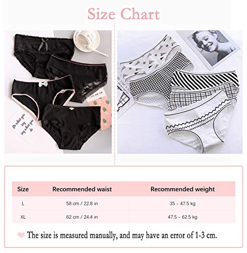 DEBAIJIA Mujer Braguitas 4 Pcs Dama Bragas Femeninos Ropa Interior Calzoncillos Algodón Elástico Transpirable Encaje All Seasons Universal