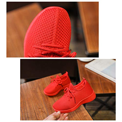 DEBAIJIA Niñas Niños Zapatos de Deportivos 3-10 Años Zapatillas Tejido Neto Malla Casual Suave Suela Moda Antideslizante Lindas Transpirable Caminar Al Aire Libre Ligero Correr Turismo