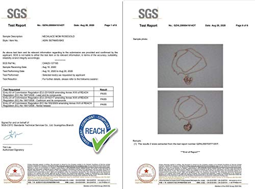 Día de la madre regalo, Deesos Collar El mejor regalo para el cumpleaños de la madre Corazón Diamante, Collar colgante para el cumpleaños de mamá Oro rosa