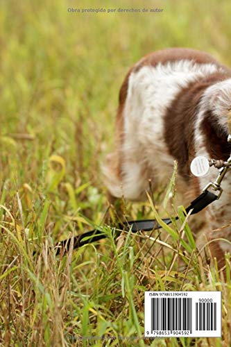 DIARIO DE CAZA: Registra todos los detalles : lugar, fecha, climatología, piezas abatidas: conejo, liebre, faisán, codorniz, paloma, perdiz roja.. | Regalo especial para amantes de la caza menor.