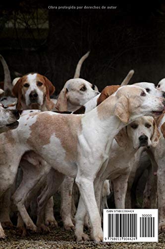 DIARIO DE CAZA: Registra todos los detalles : lugar, fecha, piezas abatidas: conejo, liebre, faisán, codorniz, paloma, perdiz roja.. | Regalo especial para amantes de la caza menor.