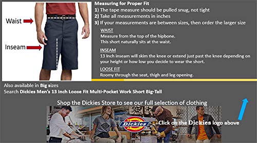 Dickies Multi 13"Mlti Pkt W/Srt, Pantalones Cortos de Trabajo Para Hombre, Plateado (Silver SV), 28 Waist x Regular