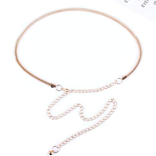 DSJTCH Moda Cinturón de Metal de Cintura Alta para Mujer Mujer Decorada Vestimenta Camisa Camisa Cintura Plateado Oro cinturón Fino (Color : Sliver)