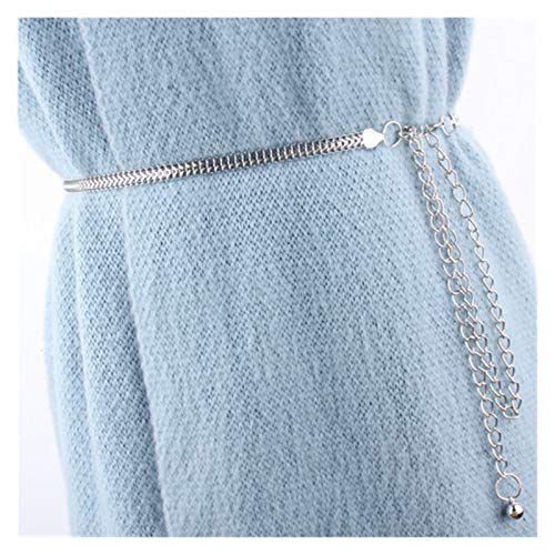 DSJTCH Moda Cinturón de Metal de Cintura Alta para Mujer Mujer Decorada Vestimenta Camisa Camisa Cintura Plateado Oro cinturón Fino (Color : Sliver)