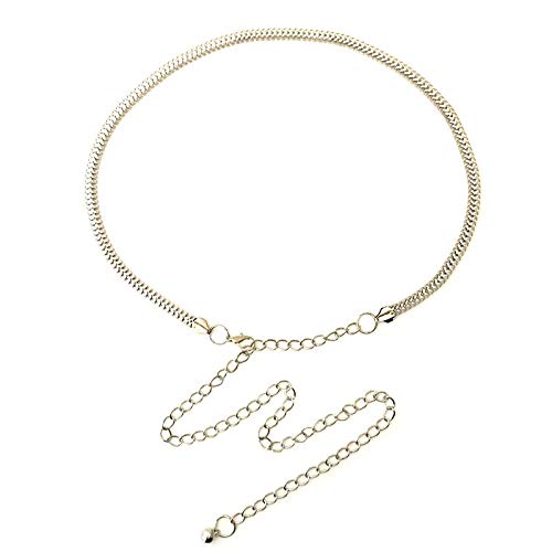 DSJTCH Moda Cinturón de Metal de Cintura Alta para Mujer Mujer Decorada Vestimenta Camisa Camisa Cintura Plateado Oro cinturón Fino (Color : Sliver)