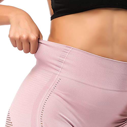 FITTOO Leggings Sin Costuras Corte de Malla Mujer Pantalon Deportivo Alta Cintura Yoga Elásticos Fitness Seamless #1 Rosa M