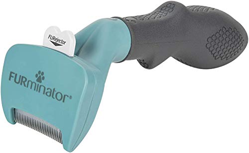 FURminator S Herramienta deshedding para gatos de raza pequeña con pelo corto