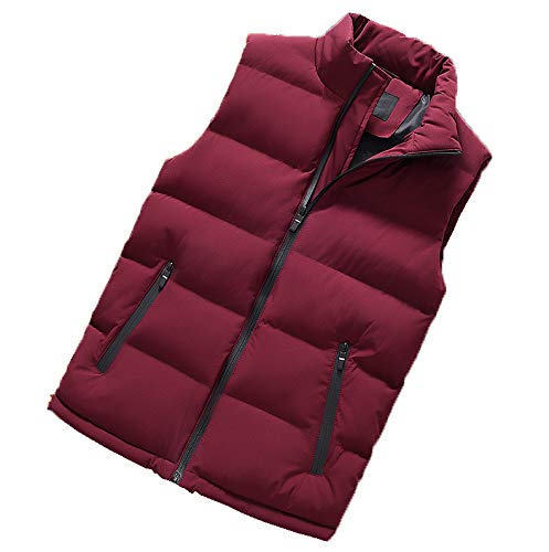 GCC Chaleco Caliente Sin Mangas De Invierno para Hombre Moda Tapa Extraíble Corte Ajustado Algodón Abajo Chaleco Chaqueta,Cremallera Completa H-M