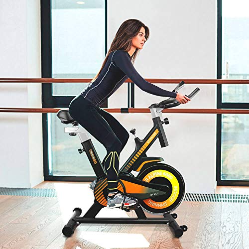 gridinlux. Trainer Alpine 6000. Bicicleta estática Ciclo Indoor. Volante de Inercia 10 kg, Nivel Avanzado, Sistema de Absorción de Impactos, Pantalla LCD, Fitness