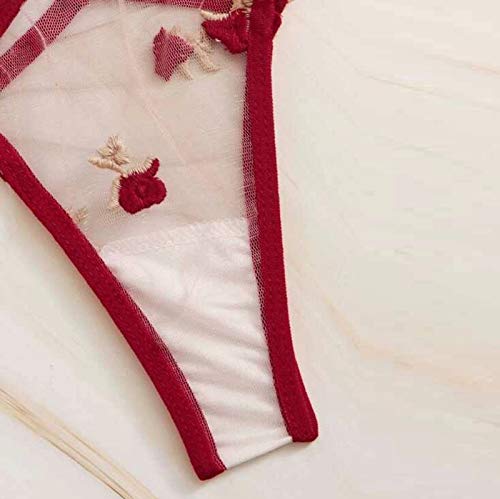 HINK Mujeres Íntimas, Mujeres Íntimas, Femenina Transparente Encaje Bordado Conjunto de Ropa Interior con Tirantes Rojo XL