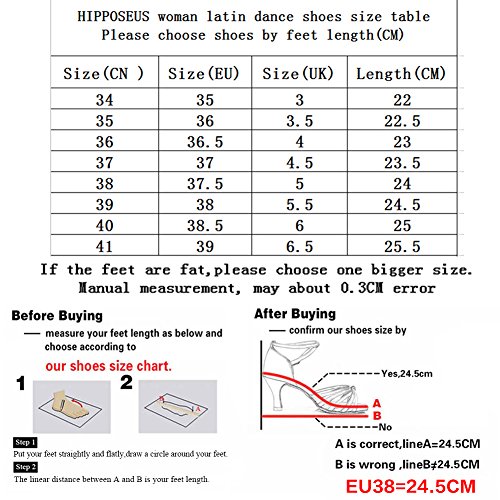 HIPPOSEUS Zapatos de Baile de Lentejuelas de Plata para Mujer con Dedos Cerrados Zapatos de Baile de práctica Zapatos de Baile de Boda estándar, Modelo WX-CL, Plata Color,EU 37/4.5 UK