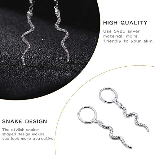 Holibanna Aretes de Serpiente Pendientes de Aleación de Estilo Punk Pendientes de Joyería Animal para Mujeres Hombres Damas (Oro Blanco)