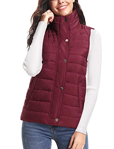 iClosam Chaleco De Mujer Sin Capucha PortáTil Cremallera Suelto Abrigo De Invierno Mujer Outdoor