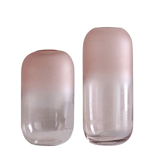 JHDDHP3 Borrar Vidrio Flor Arreglo Jarrones Decoración Essential Online Tabla Centros Regalos Regalos Peso Luz Peso Bud Frasco (Color, Tamaño: Gratis) (Color, Size : Free)