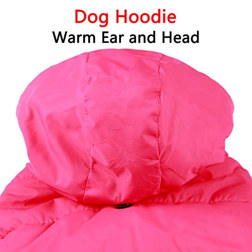 JoyDaog Sudadera con capucha para perro (forro polar cálido y forro de algodón en invierno, chaqueta pequeña para cachorros con capucha (rosa M)