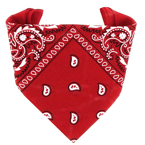 ...KARL LOVEN - Bandana 100% algodón - Paisley Rojo - Pañuelo para el cuello, cabeza bufanda para hombre, mujer y niño muñeca Pulsera motociclista Deportiva