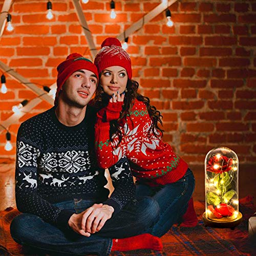 Kit de Rosas La Bella y la Bestia, Rosa de Seda roja y luz LED con pétalos caídos en la cúpula de Vidrio en la Base de Madera para la decoración del hogar Boda Cumpleaños Día de la Madre