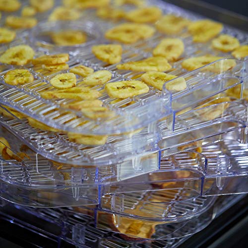 Kitchen Move - Deshidratador alimentario (temperatura ajustable, secado de alimentos, pantalla digital Manhattan con temporizador, 72 H, 250 W, 250 W)