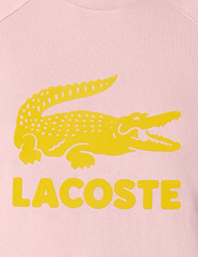 Lacoste Sf5640 Suéter, Nidus, 36 para Mujer