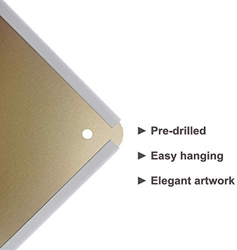 Letrero de lata, 20,3 x 30,5 cm, para vestuarios femeninos