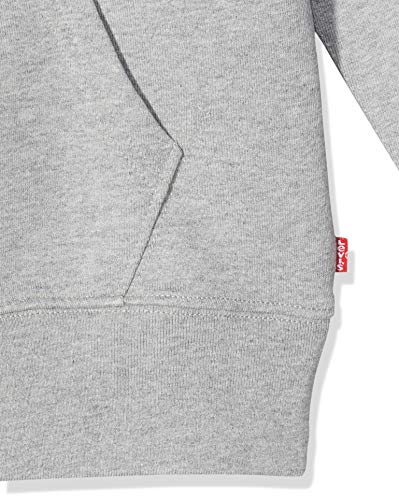 Levi's Graphic Hoodie B Capucha, Hm Po Co Midtone Heather Grey, L para Hombre