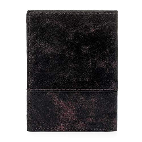 Lois - Billetero de Hombre Vertical de Cuero Piel Genuina de Marca Diseñada en España. Cartera Tarjetero. Tarjetas Documentación Billetes dni Carnet. 12518, Color Marron