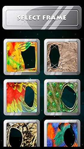 Marcos de fotos de plumas