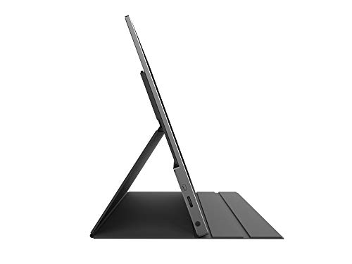 MSI Optix MAG161V - Monitor portátil de 15.6", FullHD 60Hz (1920 x 1080, pantalla plana, panel IPS, ratio 16:9, brillo 180 nits, Anti-glare) negro