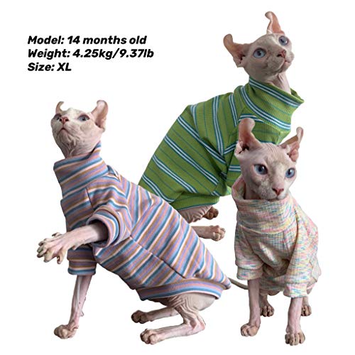 N\C Ropa de Gato Sphynx 3 artículos por Paquete para Primavera y otoño Puro algodón Fino para Gato sin Pelo, Gato Sphynx, Gato esfinge, Gato Devon Rex (M)