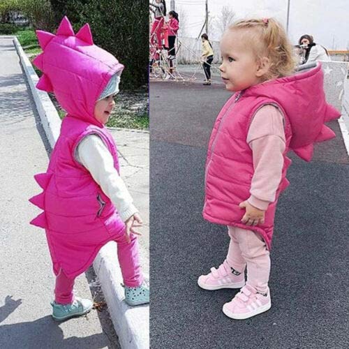 Niños Niñas Chaleco de Chaqueta Invierno con Diseño Dinosaurio Abrigo Cálido sin Manga con Capucha y Cremallera para Bebé de 6 Meses a 5 Años Ropa Primavera Otoño Invierno (Rosa, 4-5 Años)