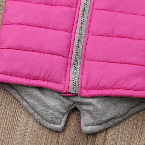 Niños Niñas Chaleco de Chaqueta Invierno con Diseño Dinosaurio Abrigo Cálido sin Manga con Capucha y Cremallera para Bebé de 6 Meses a 5 Años Ropa Primavera Otoño Invierno (Rosa, 4-5 Años)