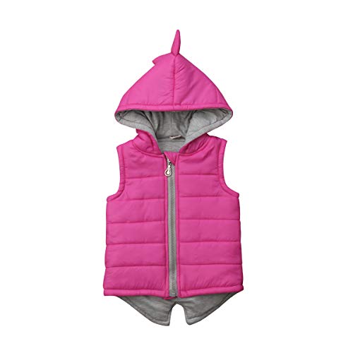 Niños Niñas Chaleco de Chaqueta Invierno con Diseño Dinosaurio Abrigo Cálido sin Manga con Capucha y Cremallera para Bebé de 6 Meses a 5 Años Ropa Primavera Otoño Invierno (Rosa, 4-5 Años)