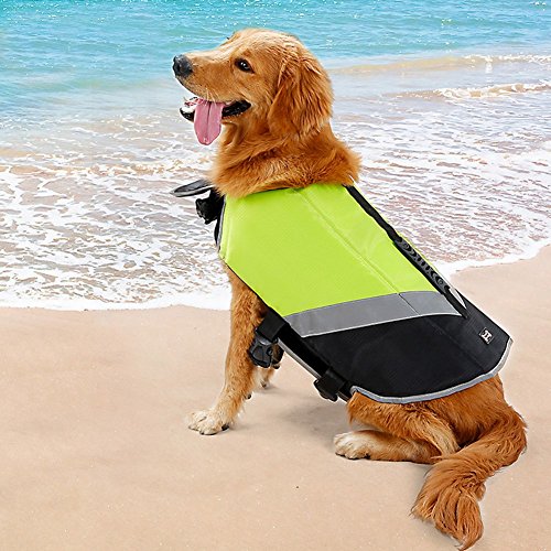 Pet Online Chaleco salvavidas para perros mascota natación profesional chaleco reflectante impermeable Dispositivo de flotación chaleco salvavidas, verde, l