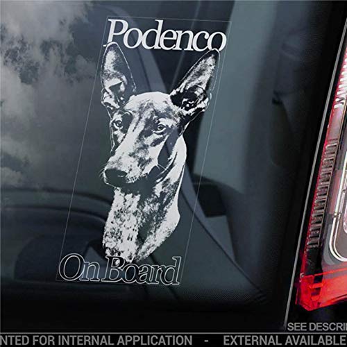 Podenco on Board - Adhesivo de vinilo para coche, diseño de perro canario ibicenco
