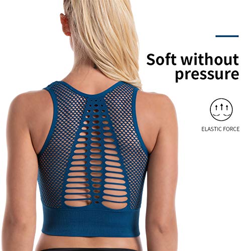 PPKZY Sujetador Deportivo Femenino Fitness Sexy Cultivo Top Top lencería Empuje hacia Arriba Mujer Ropa Deportiva Gimnasio Deporte Ropa Interior Femenino sin Costura Corriendo Yoga Sujetador