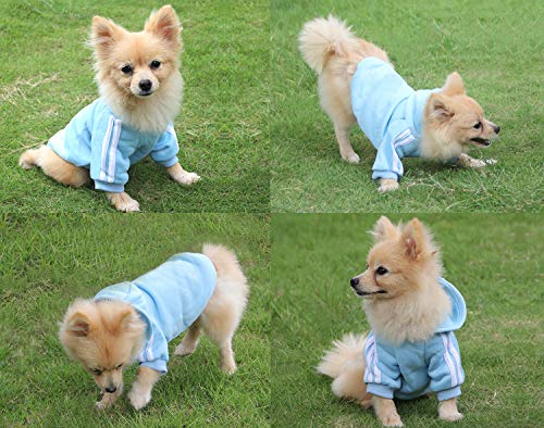 QiCheng&LYS Dog Hoodie Ropa, Mascota Cachorro Gato algodón Lindo cálido Sudadera con Capucha suéter (S, Azul)