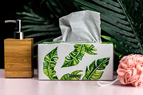 Renova Pañuelos Faciales Plenitude - 200 Pañuelos