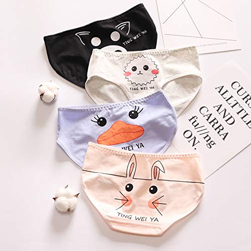 RosaObsta Niños Paquete 5 Ropa Interior Algodón Bragas Cintura Media Calzoncillos Chicas Grandes Braguitas Hipster Linda Patrón Impreso