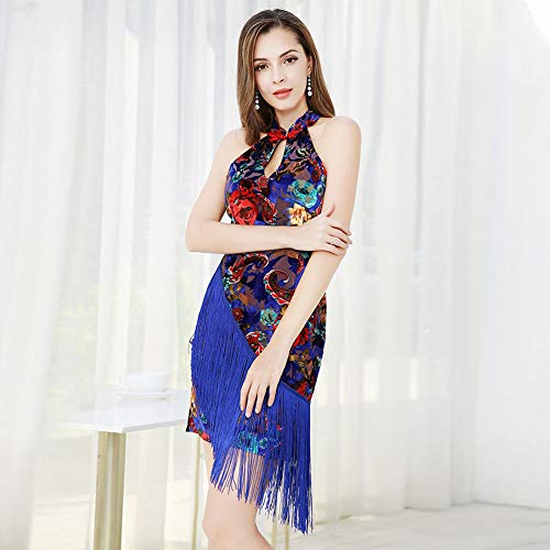 ROYAL SMEELA Latín Baile Vestidos Mujer Elegante Salón de Baile Vals Vestidos de Baile Estilo Chino Clásico Cheongsam Vestido Clásico Floral Terciopelo Fluido Franja Mini Vestido