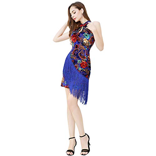 ROYAL SMEELA Latín Baile Vestidos Mujer Elegante Salón de Baile Vals Vestidos de Baile Estilo Chino Clásico Cheongsam Vestido Clásico Floral Terciopelo Fluido Franja Mini Vestido