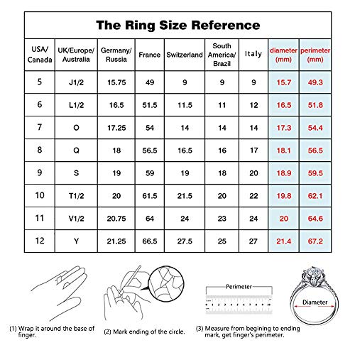 SHEGRACE Par de Anillos de Pareja en Plata de Ley 925 con Grabado Esmerilado y Anillos de Compromiso de Circonio 3A, Ajustables, Regalo para Amantes