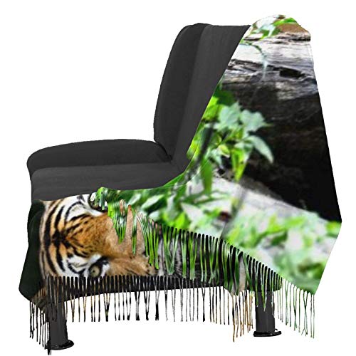 shenguang Tigre de Bengala en el bosque de cachemira gran chal invierno grueso cálido bufanda abrigo chal