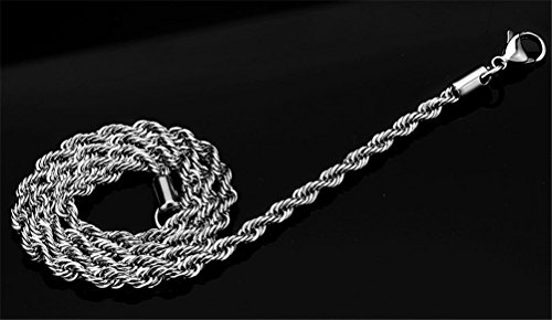 SINLEO Plata Twist Cuerda Cadena de Acero Inoxidable Collar para Hombres Mujeres 2 – 6 mm, 18 – 30 cm